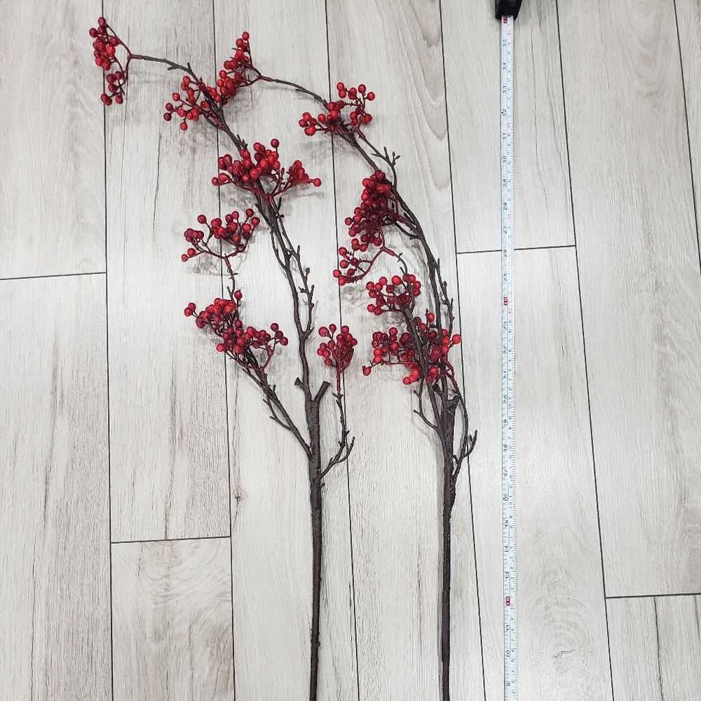3/$15 Set of 2 branches of winter foliage